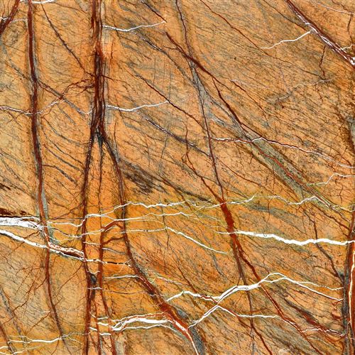 MGI Rain Forest Gold